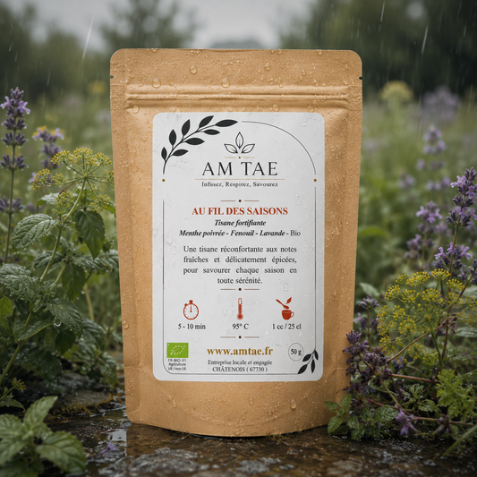 AU FIL DES SAISONS , Tisane de plantes fortifiantes