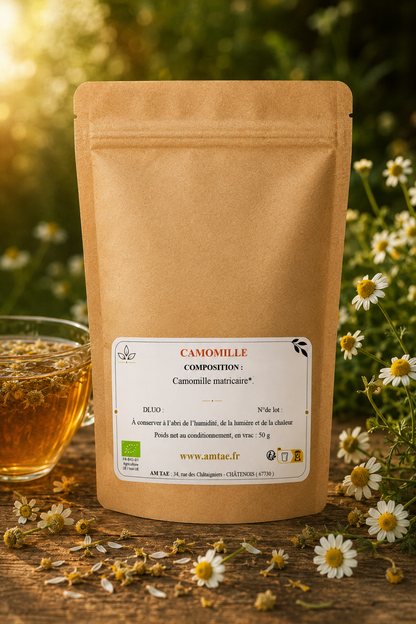 CAMOMILLE MATRICAIRE, Tisane apaisante