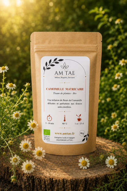 CAMOMILLE MATRICAIRE, Tisane apaisante