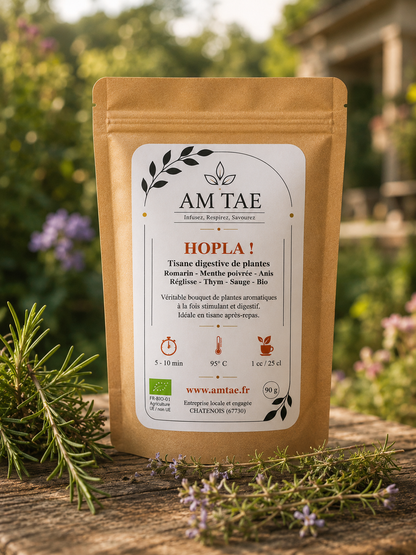 HOPLA! Tisane de plantes digestives et stimulantes