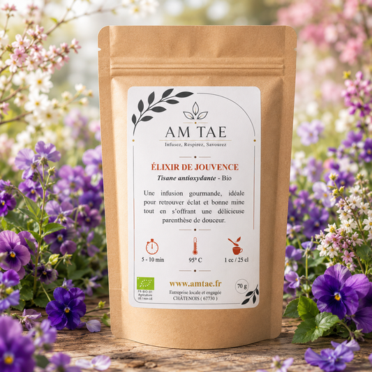 SECRET DE JOUVENCE , Tisane de plantes antioxydantes