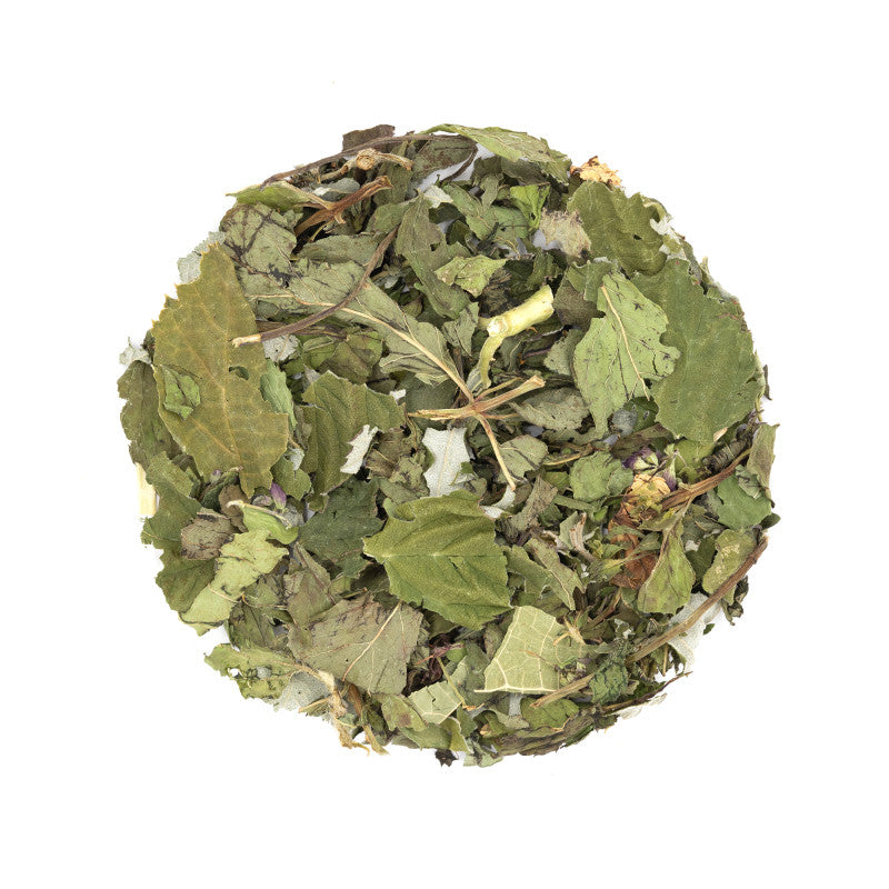 AU FIL DES SAISONS , Tisane de plantes fortifiantes